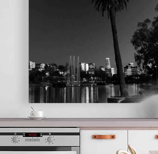 lone palm tree echo park los angeles skyline  squ by Black And White