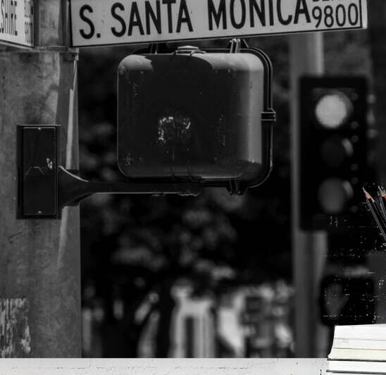 santa monica boulevard street sign  square 2139 B by Black And White