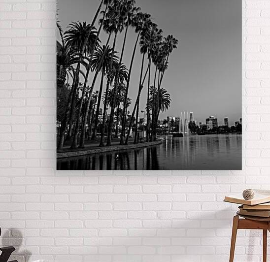 tall palm trees echo park  square 2182 Montrose 1 by Black And White
