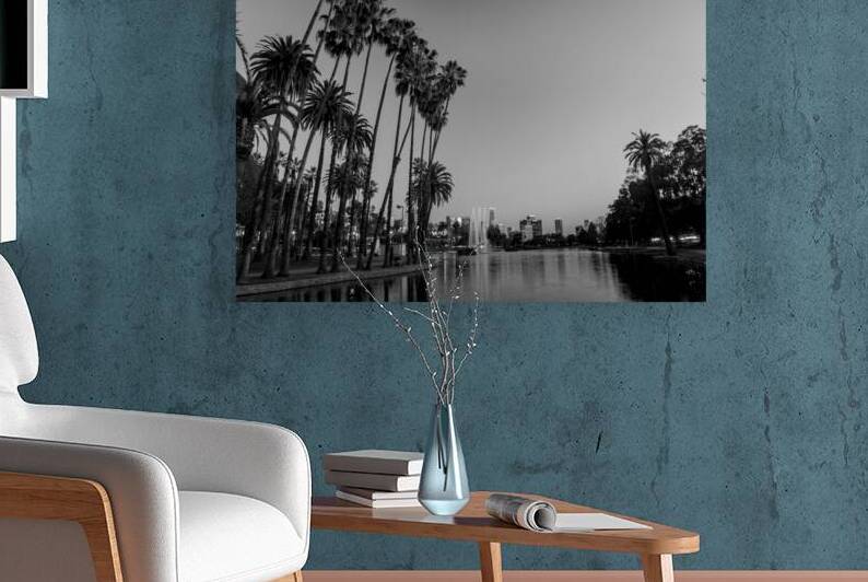 tall palm trees echo park  horizontal 2182 Montro by Black And White