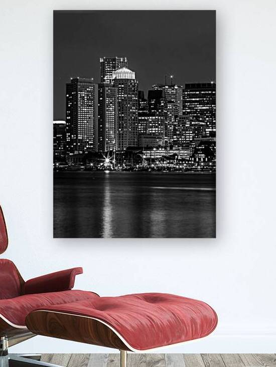 boston skyline lopresti park  vertical 37 Margina by Black And White