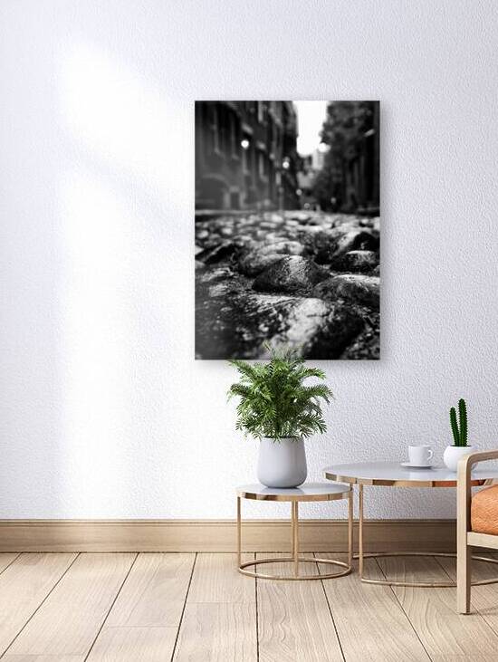 acorn street cobblestones  vertical 1374 Cobble 1 by Black And White