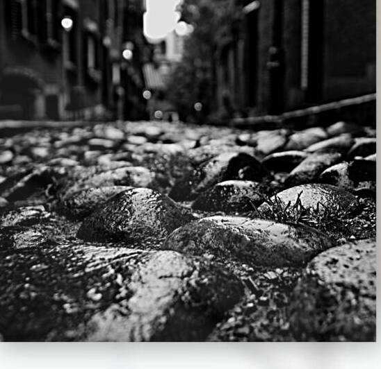 acorn street cobblestones  square 1374 Cobble 13k by Black And White
