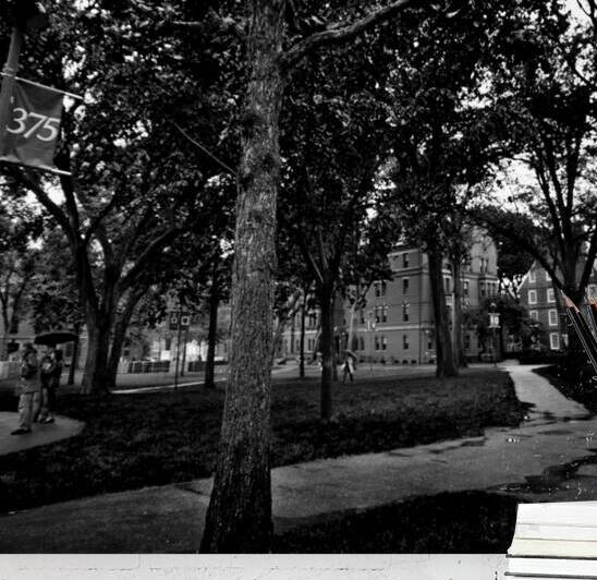 harvard yard  square 1389 Yard 13k by Black And White