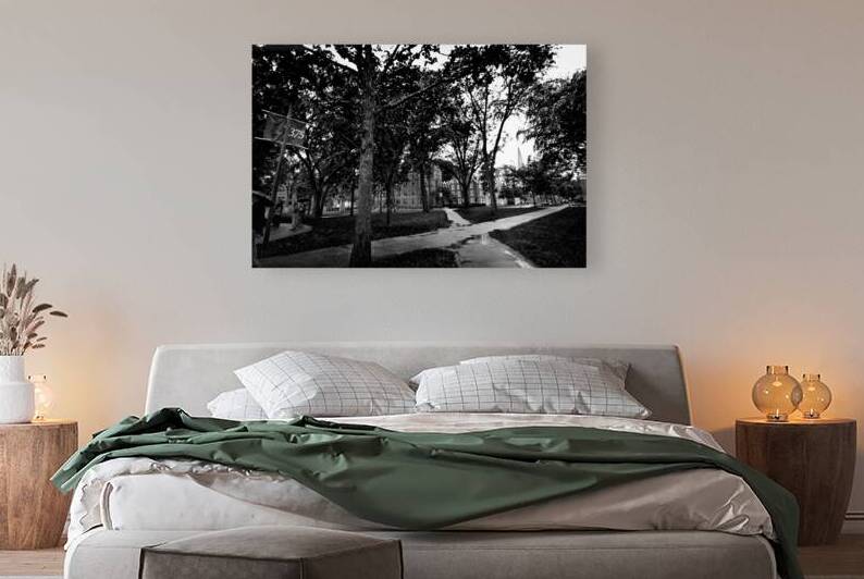 harvard yard  horizontal 1389 Yard 13k by Black And White