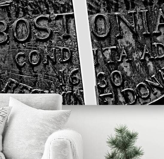 seal of boston public garden gates  square 1371 B by Black And White