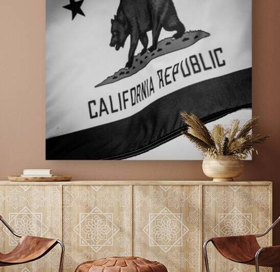 california repulic flag  square 2854 Soviet 13k.j by Black And White