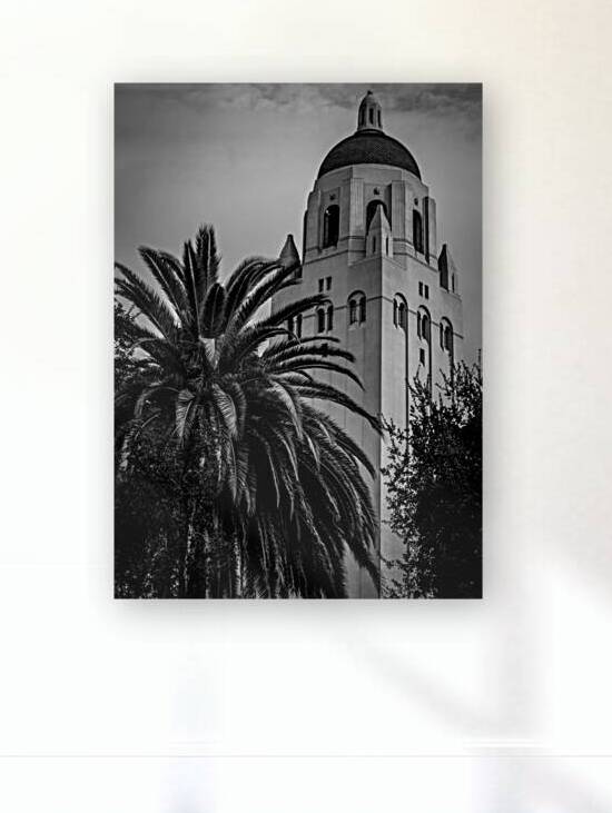 hoover tower stanford university campus  vertical Reproduction