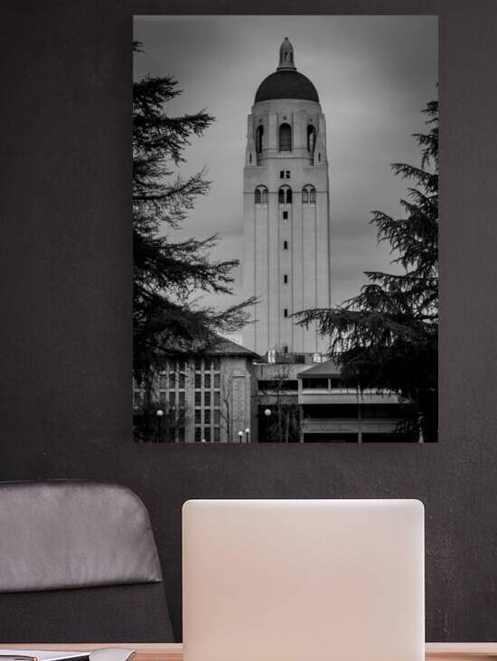 hoover tower stanford campus  vertical 2884 Herbe by Black And White