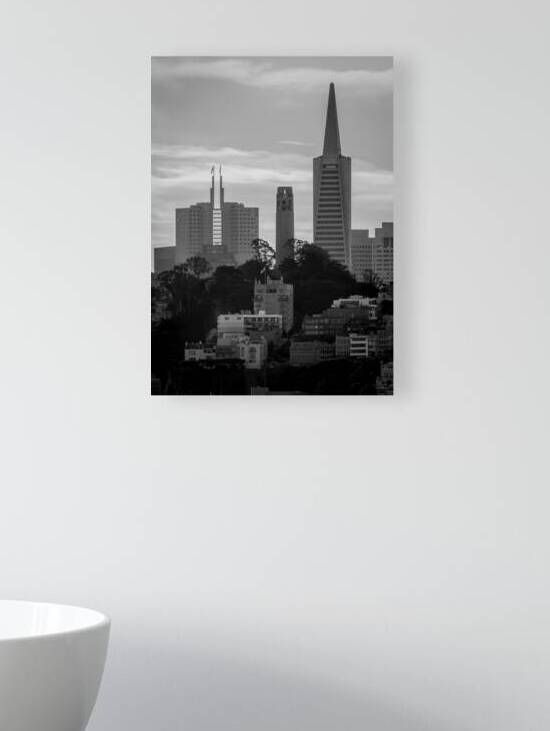 pioneer park coit tower telegraph hill  vertical by Black And White