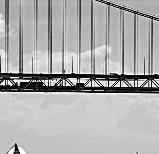 sail boats under sf bay bridge  square 2947 Doubl Reproduction