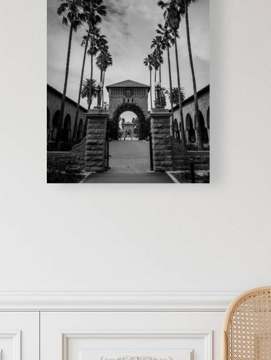 stanford main quad  vertical 2896 Quad 13k by Black And White
