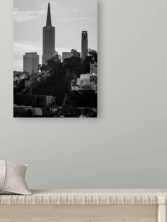 telegraph hill downtown san francisco  vertical 4 by Black And White