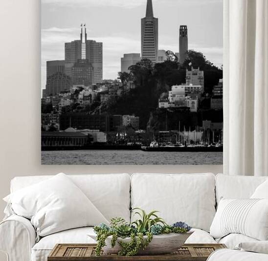 telegraph hill san francisco skyline  square 2892 by Black And White
