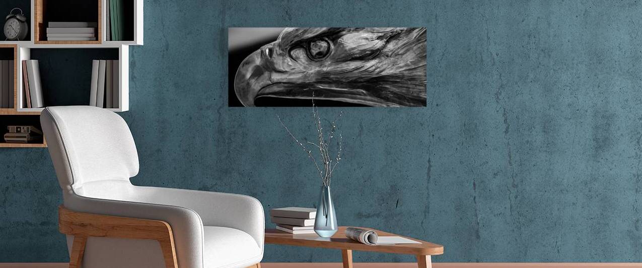 bronze bald eagle  panoramic 3493 Eagle 13k by Black And White