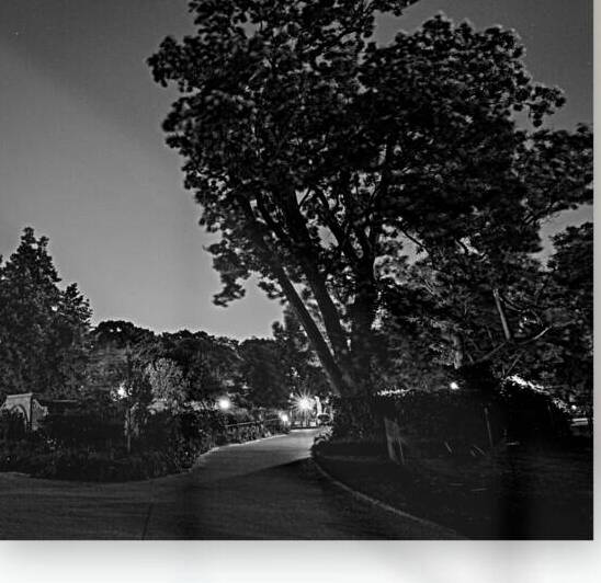 walking path us capitol building  square 2527 Sum by Black And White