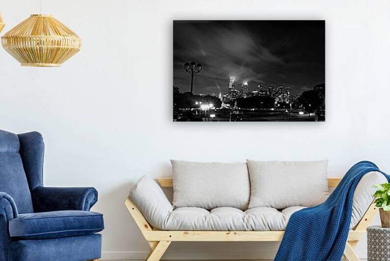 philadelphia city skyline from art museum steps   1708601664.6214 by Black And White
