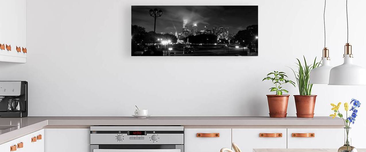 philadelphia city skyline from art museum steps   1708601500.3362 by Black And White