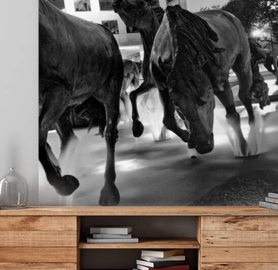 mustangs of las colinas at night  square 785 Must by Black And White