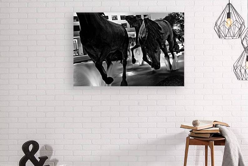 mustangs of las colinas at night  horizontal 785 by Black And White