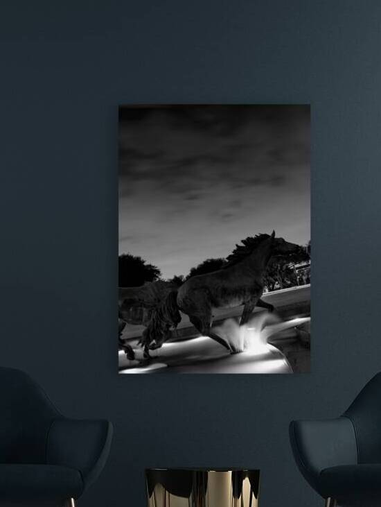 mustangs of las colinas at night  vertical 770 Co by Black And White