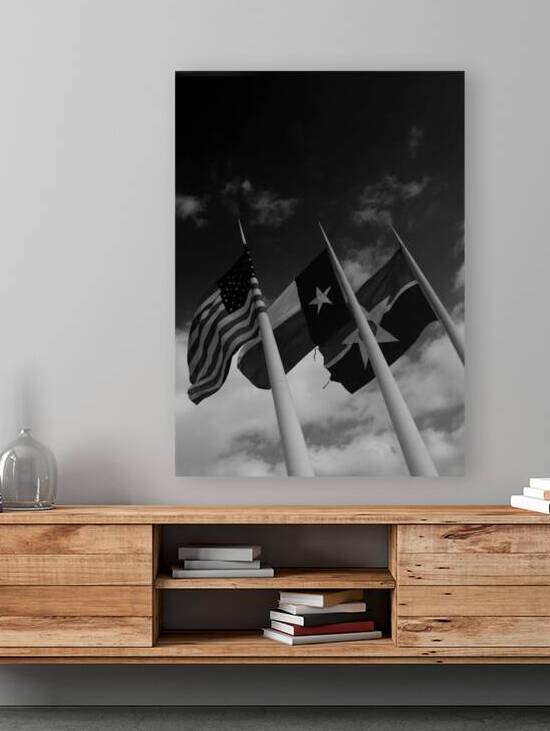 us texas dallas flags dallas city hall  vertical by Black And White