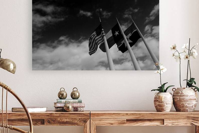 us texas dallas flags dallas city hall  horizonta by Black And White