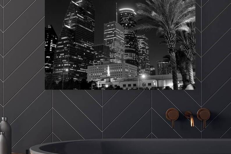 horse carriage downtown houston skyline  horizont by Black And White
