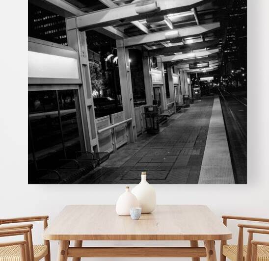 houston light rail station  square 937 Redline 13 by Black And White