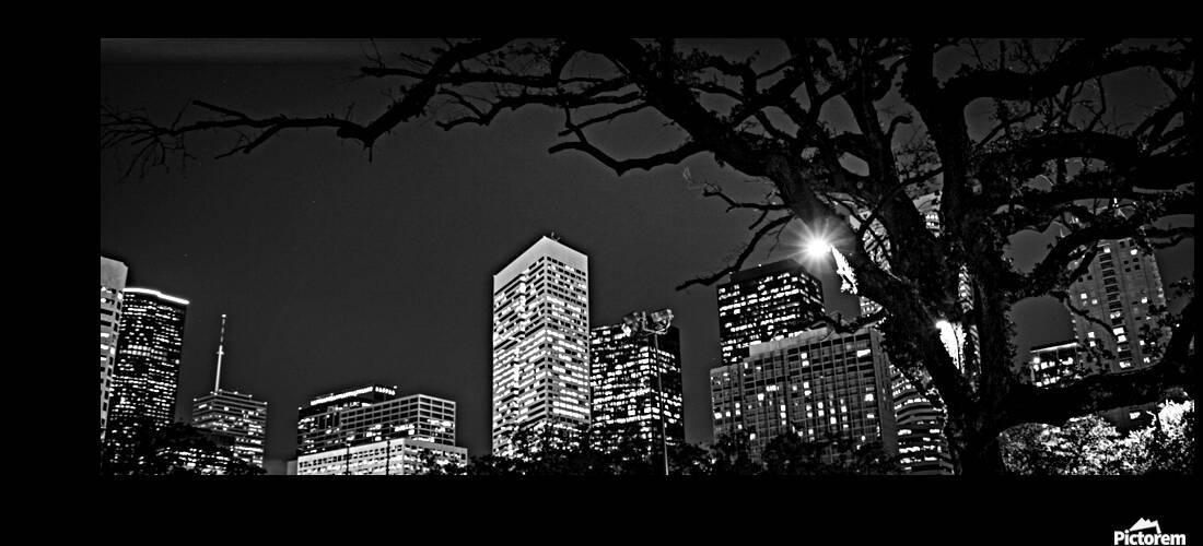 houston skyline from root square  panoramic 940 R by Black And White