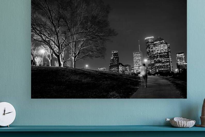houston cityscape buffalo bayou  horizontal 941 R by Black And White