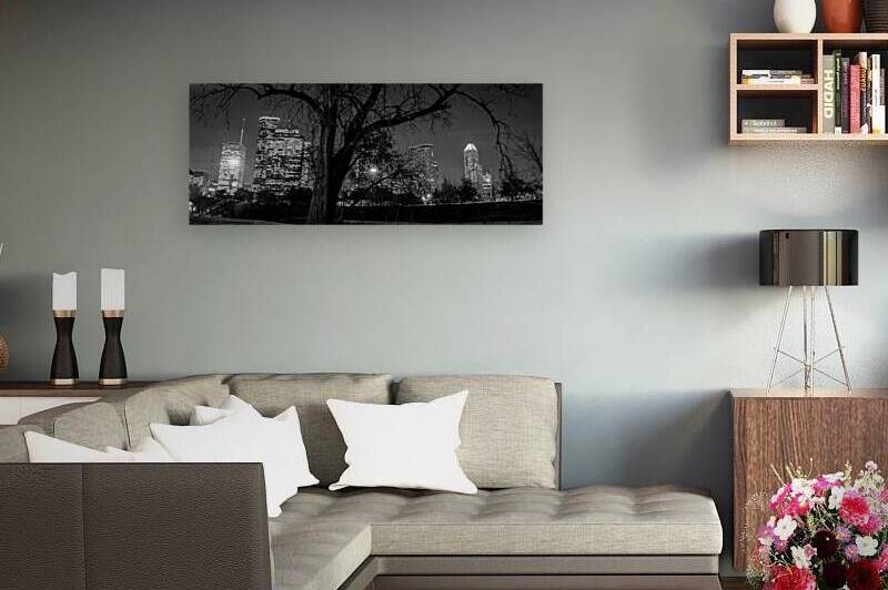 houston skyline in buffalo bayou  panoramic 934 O by Black And White