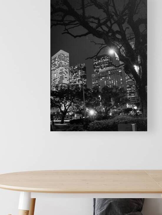 houston skyline from root square  vertical 940 Ro by Black And White