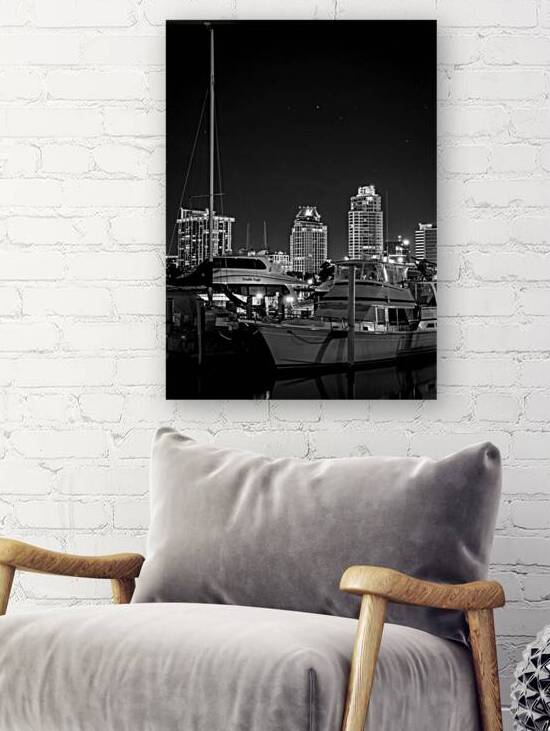 st petersburg skyline and marina  vertical 1138 E Reproduction