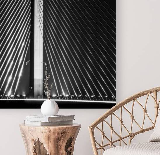 support cables sunshine skyway bridge  square 301 by Black And White