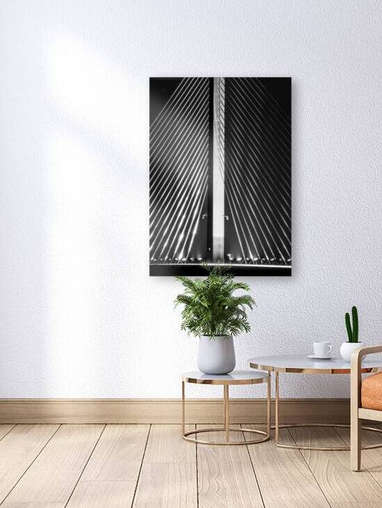 support cables sunshine skyway bridge  vertical 3 by Black And White