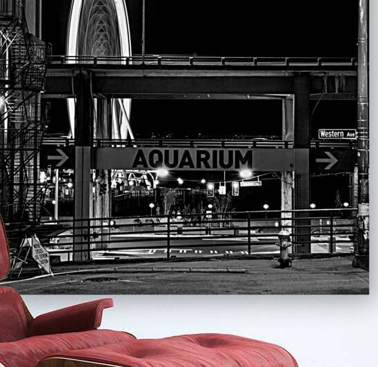 seattle ferris wheel at night  square 2677 Aquari by Black And White