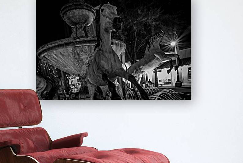 bob parks horse fountain scottsdale  horizontal 2 by Black And White
