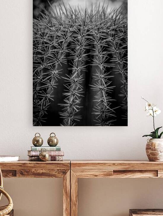 spikes on saguaro cactus  vertical 1968 Spikes 13 by Black And White