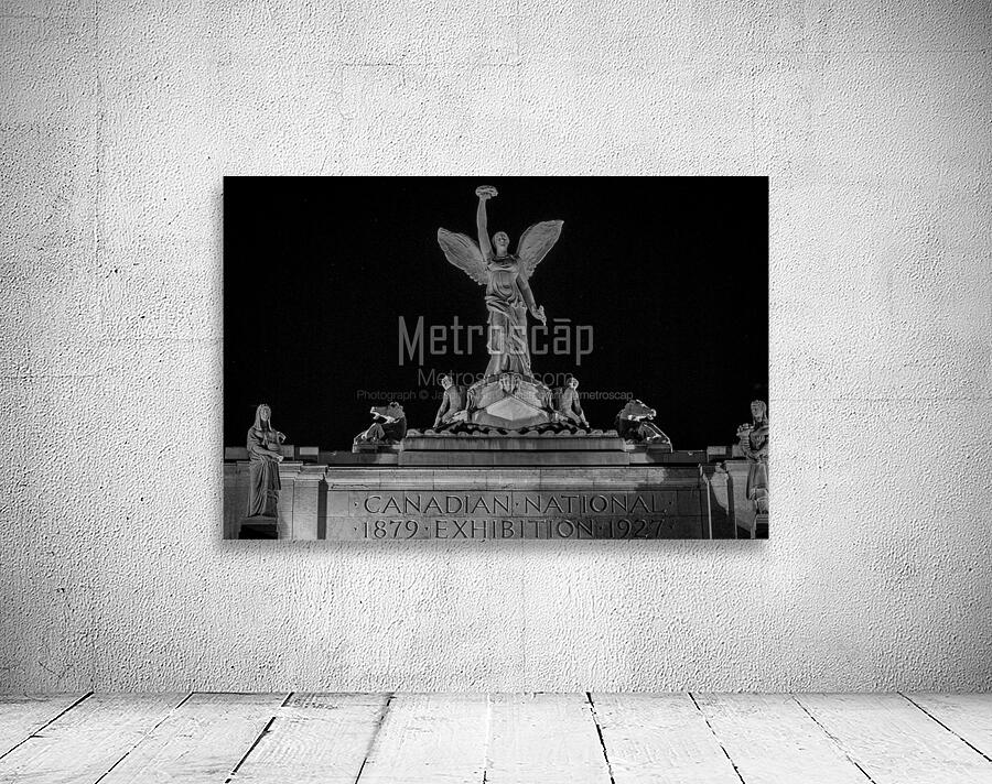 canadian national exhibition at night  horizontal Wall Preview