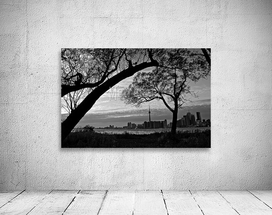 downtown toronto skyline from wards island  horiz Wall Preview