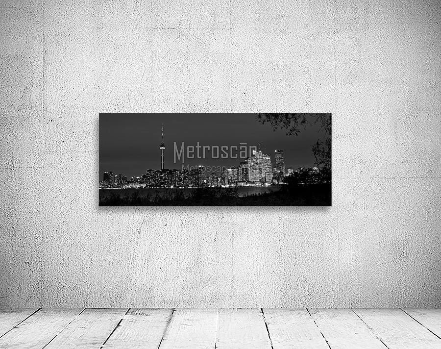 toronto skyline at night  panoramic 3024 Branches Wall Preview