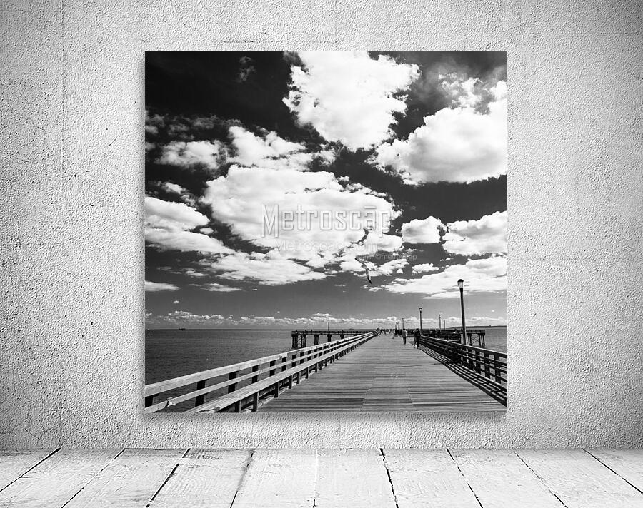 coney island pier  square 362 Gull 13k Wall Preview