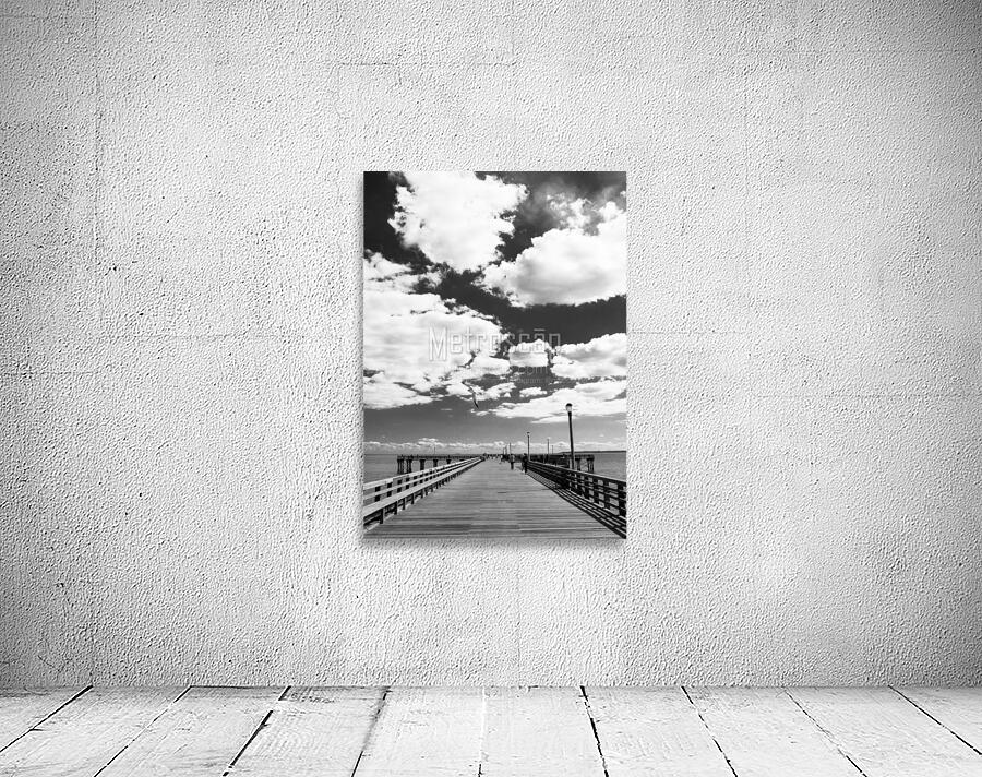 coney island pier  vertical 362 Gull 13k Wall Preview