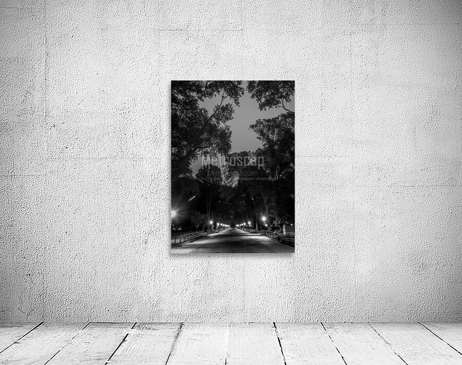 the mall central park  vertical 1466 Mall 13k Wall Preview