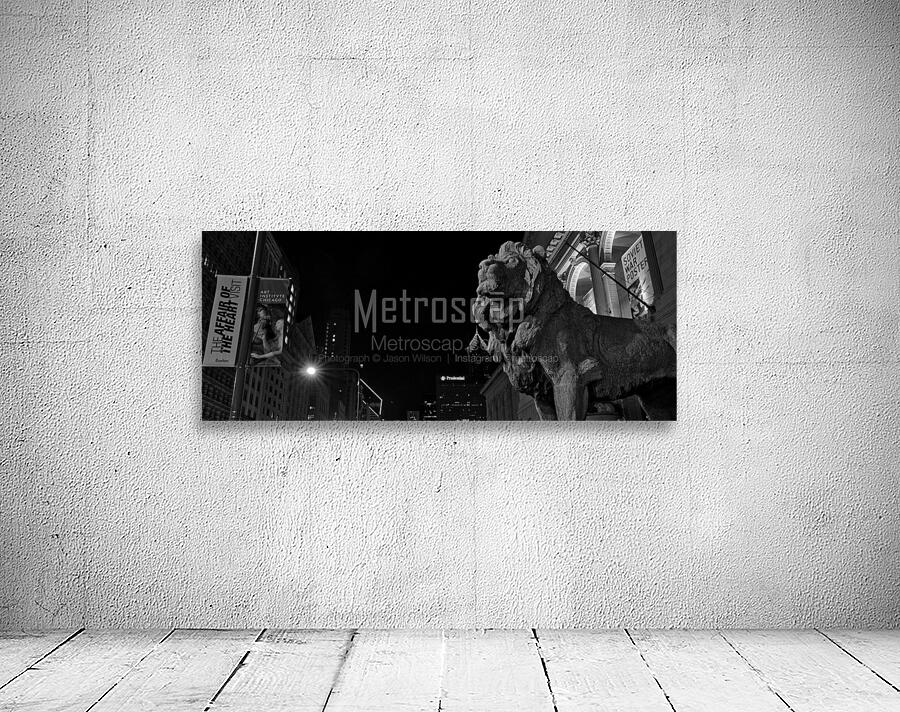 chicago art institue lion  panoramic 1195 Institu Wall Preview