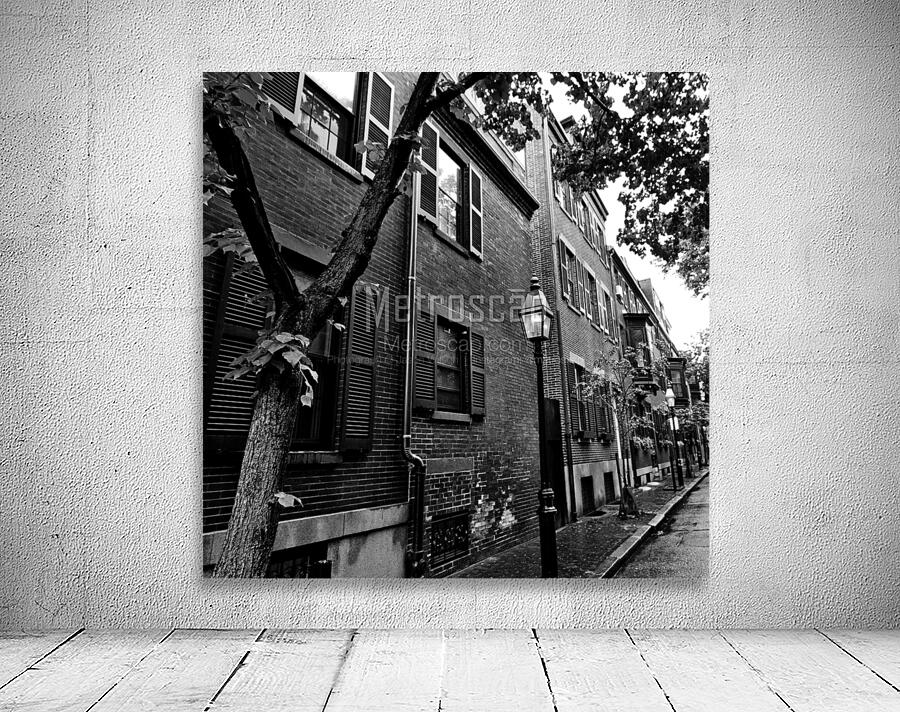 cedar street beacon hill  square 1372 Cedar 13k.j Wall Preview