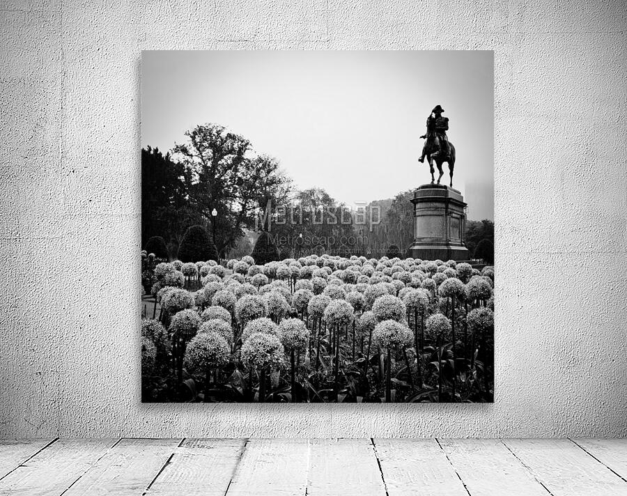 george washington statue public garden  square 13 Wall Preview