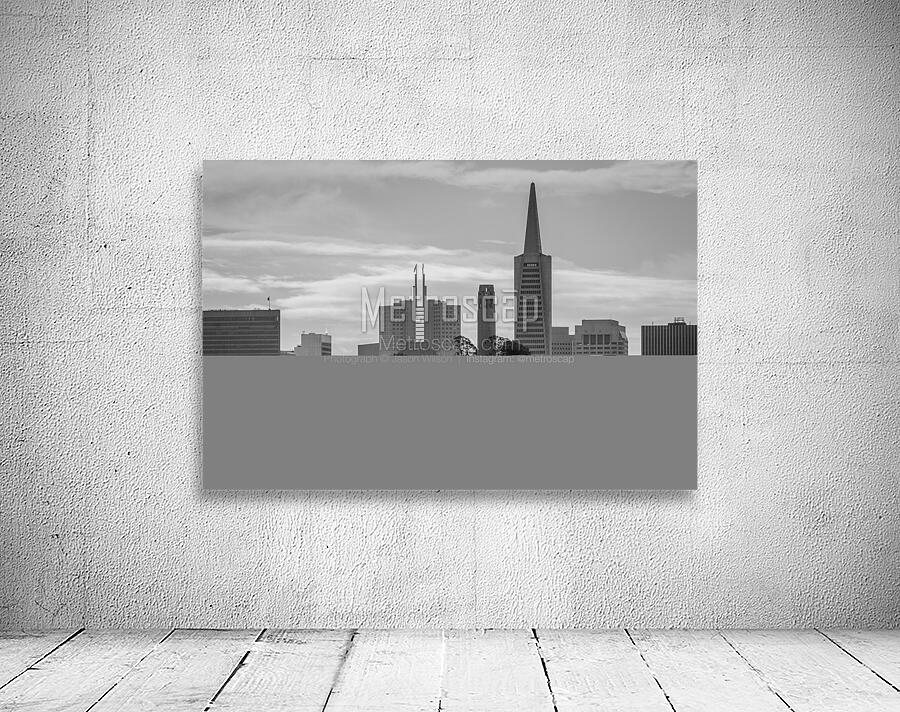 pioneer park coit tower telegraph hill  horizonta Wall Preview