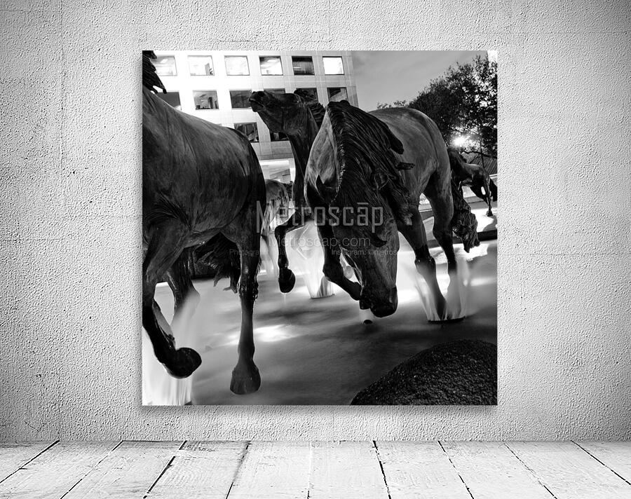mustangs of las colinas at night  square 785 Must Wall Preview
